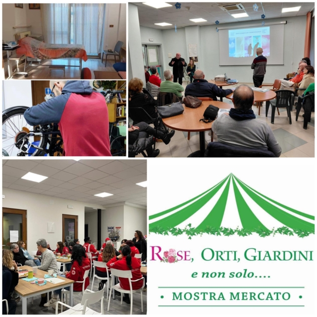 Collage eventi Solidaunia